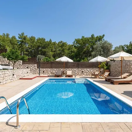 Adonis In Nature Ixia (Rhodes)