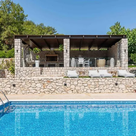 Adonis In Nature Ixia (Rhodes)