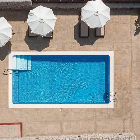 Adonis In Nature 依克希亚