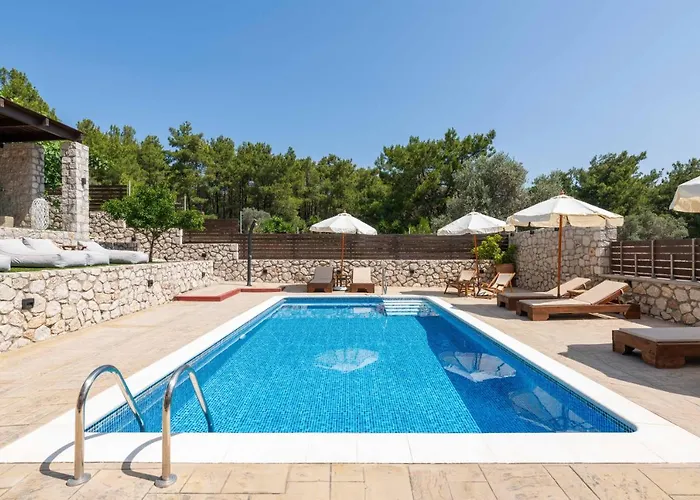 Adonis In Nature Ixia (Rhodes)