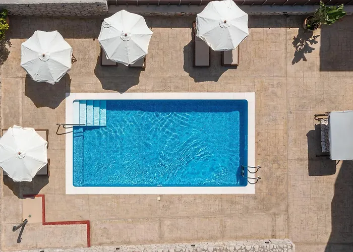 Adonis In Nature Ixia (Rhodes)