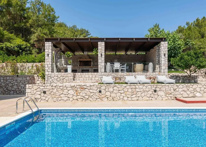 Adonis In Nature Ixia (Rhodes)